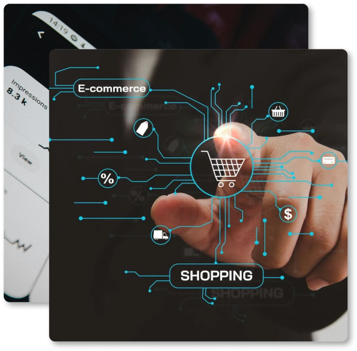 E-Commerce Development